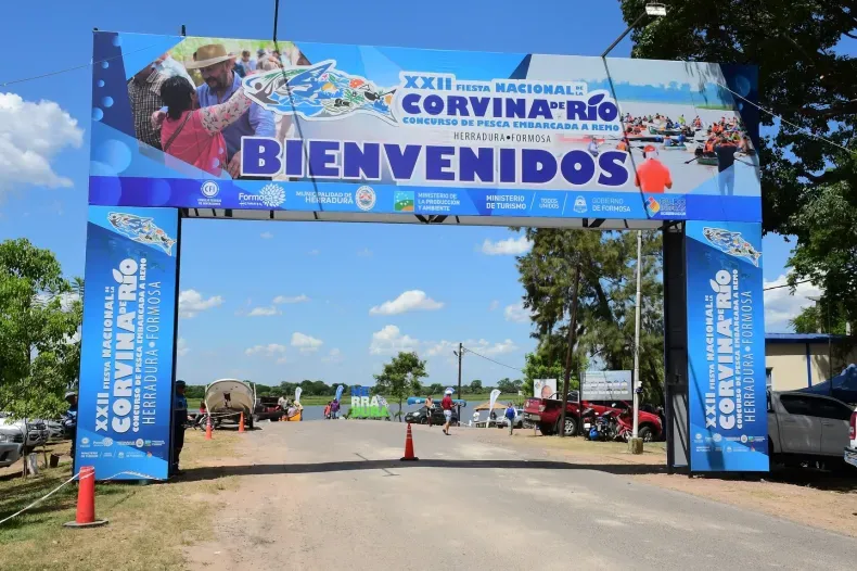 corvina entrada.webp